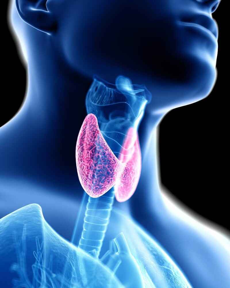 Man with x-ray of thyroid inside neck